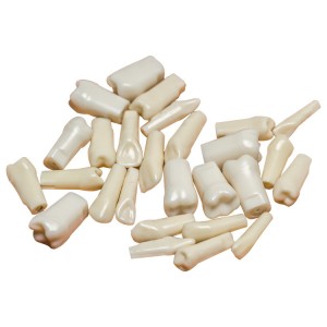 Dental Oral Teaching Model False Teeth Simulation Human Head Tooth Preparation Model Resin Tooth Preparation 32 Tooth Particles