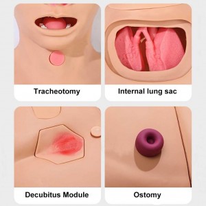 Senior female nursing person 3 bedsore modules 8 trauma modules male and female genitals