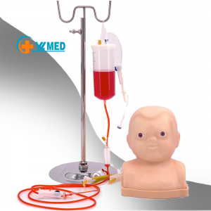 Medical science teaching aids Advanced infant head bilateral intravenous injection puncture training model