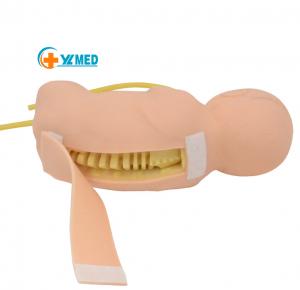 Teaching Model,Baby Lumbar Puncture Model, Teaching Aids for Doctors Nurses Students Practice, 1:1 Simulation Dummy Training