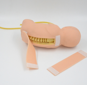 Teaching Model,Baby Lumbar Puncture Model, Teaching Aids for Doctors Nurses Students Practice, 1:1 Simulation Dummy Training