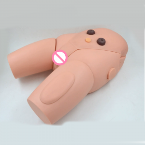 Advanced High Quality Human Nursing Training Male Urinary Genitalia And Urethral Catheterization enama medical Model