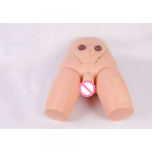 Advanced High Quality Human Nursing Training Male Urinary Genitalia And Urethral Catheterization enama medical Model