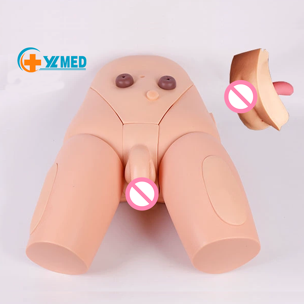 Advanced High Quality Human Nursing Training Male Urinary Genitalia And Urethral Catheterization enama medical Model