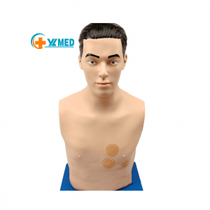 Nursing Practice Pericardiocentesis and Intracardiac Injection Training Model PVC Anatomical Medical Manikin Yulin YL2-04027