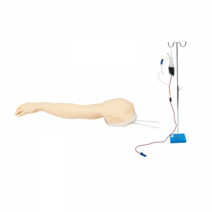 In-fhilleadh intravenous In-ghabhail intravenous agus modal gàirdean stealladh intramuscular Gàirdean fada modal teagaisg làimhe inbheach coileanta