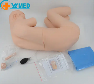 Adult lumbar puncture model in lateral position for teaching training and medical research of lumbar puncture surgery