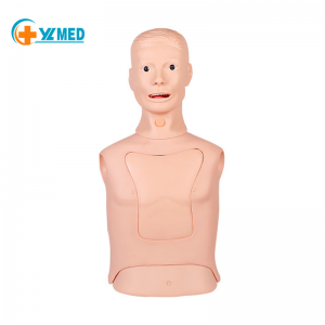 Modello infermieristico per sondino nasogastrico e trachea, attrezzatura per la macinazione del tubo di alimentazione nasale, addestramento per l'aspirazione dell'espettorato