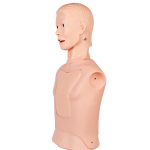 Modello infermieristico per sondino nasogastrico e trachea, attrezzatura per la macinazione del tubo di alimentazione nasale, addestramento per l'aspirazione dell'espettorato