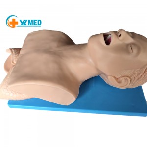 Medical science adult electronic tracheal intubation training model and alarm device human tracheal intubation training model