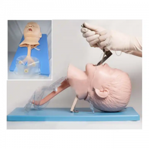 Modela Hînkirina Çavkaniyên Bijîjkî Modela Intubasyona Tracheal a Pêşketî ya Zarokan
