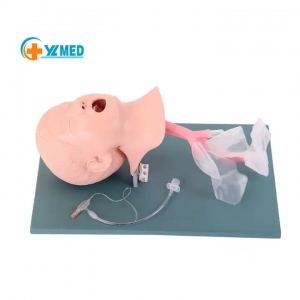 Medical Resource Teaching Model Advanced Pediatric Tracheal Intubation Model