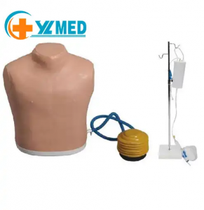 Teaching resources Human pneumothorax lymph node puncture simulation model for medical school teaching