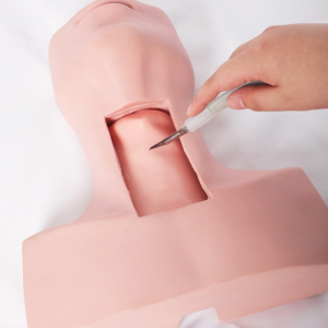 Tracheotomy intubation training model Endotracheal operation training nursing teaching model in hospital medicine