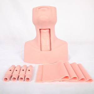 Tracheotomy interubation kev cob qhia kev cob qhia qauv it todotRacheal ua haujlwm kev cob qhia kev ua haujlwm hauv tsev kho mob