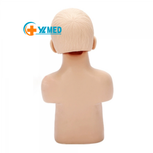 Infant choking model Heimlich back slap method finger swipe method training PVC teaching model