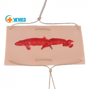 Deep Laceration or Stab Wound Trauma Model Manikin Silicone Simulation Laceration Module for Surgical Suture Practice