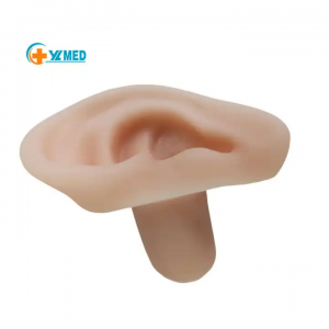 Mohlala oa ho Ruta le oa Koetliso Ea Auditory Meatus Sampling Tool Soft Silicone Human Ear Model