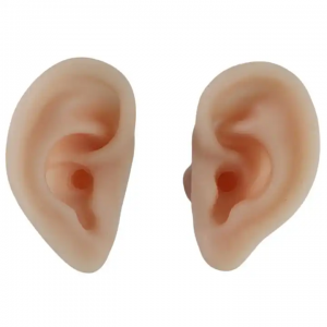 Kennslu- og þjálfunarlíkan Eyra Heyrnartól Meatus Sampling Tool Soft Silicone Human Ear Model