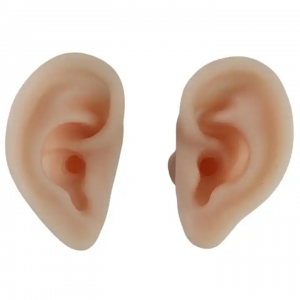 သင်ကြားရေးနှင့်လေ့ကျင့်ရေးပုံစံ Ear Auditory Meatus Sampling Tool Soft Silicone Human Ear Model