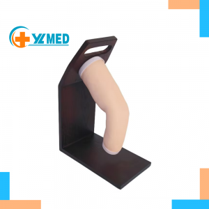University Medical Training Teaching Demonstration Simulator Elbow Joint Equipment Human Elbow Joint Cavity Injection Model