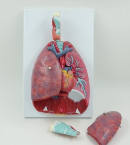 Anatomical Human Respiratory System Model Wth Larynx 7 Removable Parts Larynx Heart and Lung Model