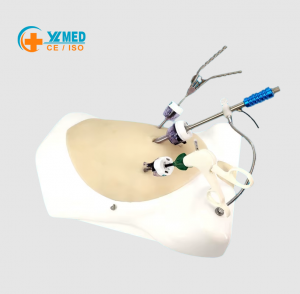 Laparoscopic Practice Trainer, Abdominal Surgical Simulation Model with USB Camera for Medical Teaching & Surgeon Skill Drills