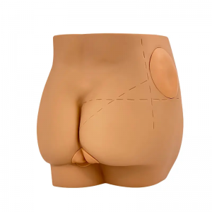 Medical science Buttocks Hip Intramuscular Injection Simulator Training model for teaching nurse training