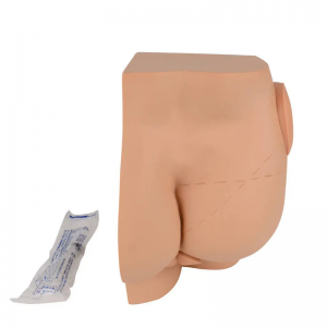 Advanced Medical science muscle Intramuscular injection Simulator for teaching nurse training Buttocks model