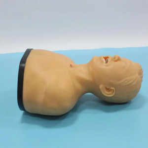 ميڊيڪل سائنس اعلي معيار بالغ tracheotomy نرسنگ ماڊل/tracheotomy dummy ٽريننگ ماڊل/airway dummy ماڊل