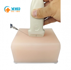 The Ultrasound Puncture Phantom Included a Comprehensive Training Model of Vascular Tumor and Nerve Cyst