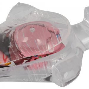 18cm Transparent Torso Anatomy Model Student Teaching Tool for Studying Human Internal Organs for Medical Science