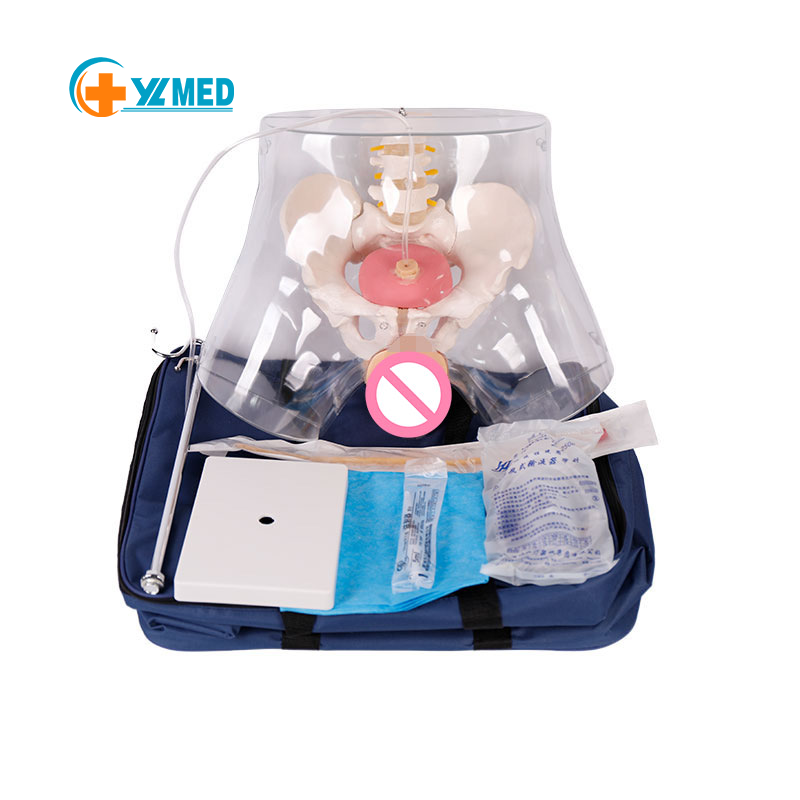 Nurse Training Medical Science Teaching Tools Using Advanced Female Transparent Catheterization Model