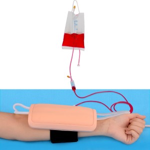 Advanced forearm venous puncture model with can wearable style for human nursing and injection practice